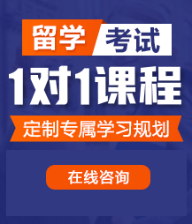 大自慰逼水喷出网站留学考试一对一精品课